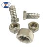 Concrete Forming Accessories Coil Bolt - Pilt 2