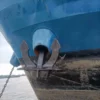 hall anchor