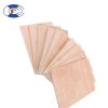poplar plywood