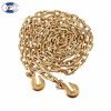 Chain with Grab Hooks