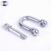 Stainless D shackle