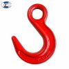 Eye Slip Hook