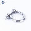 anchor shackle
