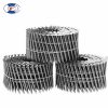 Stainless Steel Coil Nail - 이미지 2
