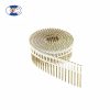 Plastic Coil Nail Plastic-Collated Coil Nails - Εικόνα 4