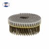 plastic coil nail