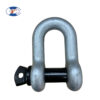 ⁦Wholesale D Shackle Chain Shackle for Lifting⁩ - الصورة ⁦2⁩