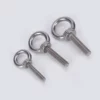 stainless steel eye bolt